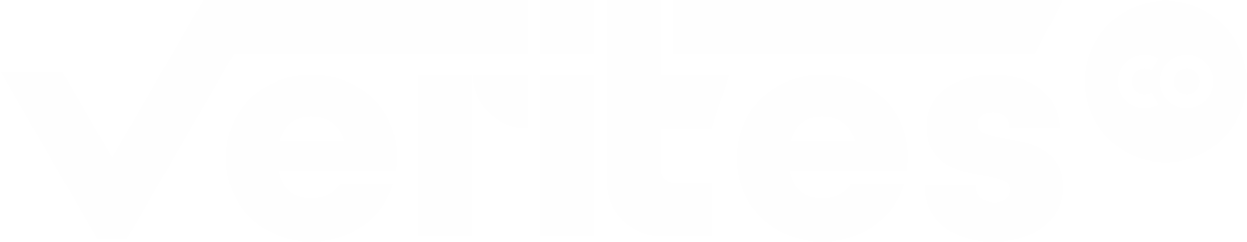 Logo Verites Store